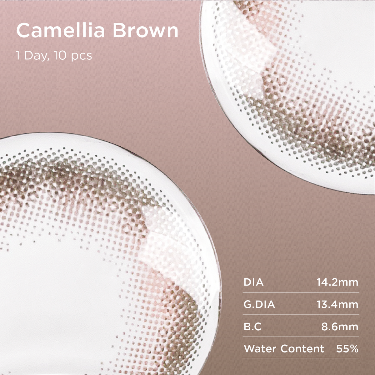 Camellia Brown | Daily colored contacts