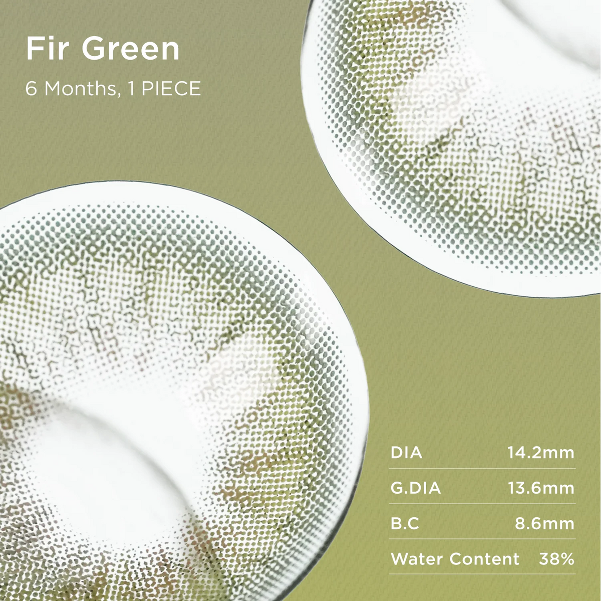 Fir Green | 6-Month Colored Contacts