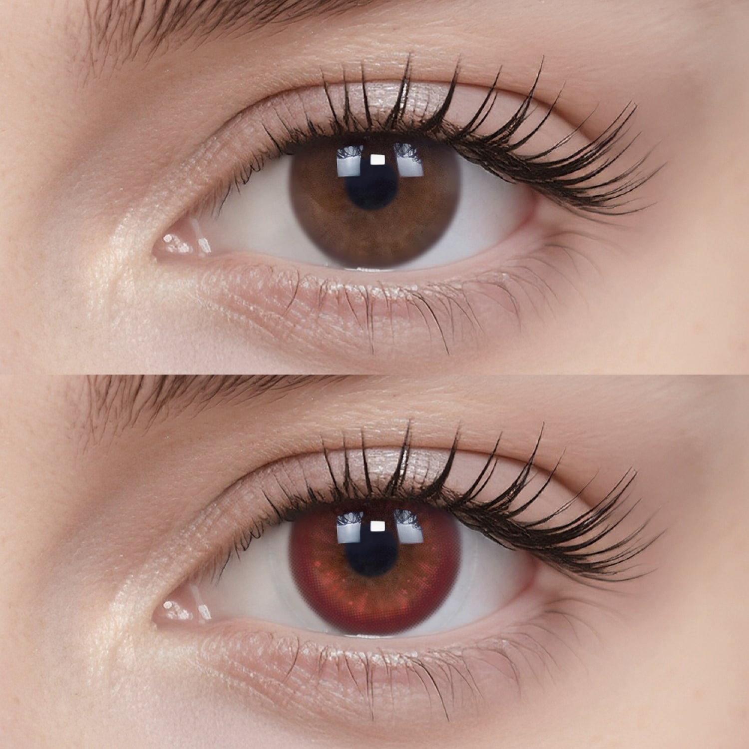 Poison Apple | Daily, 6pcs colored contacts