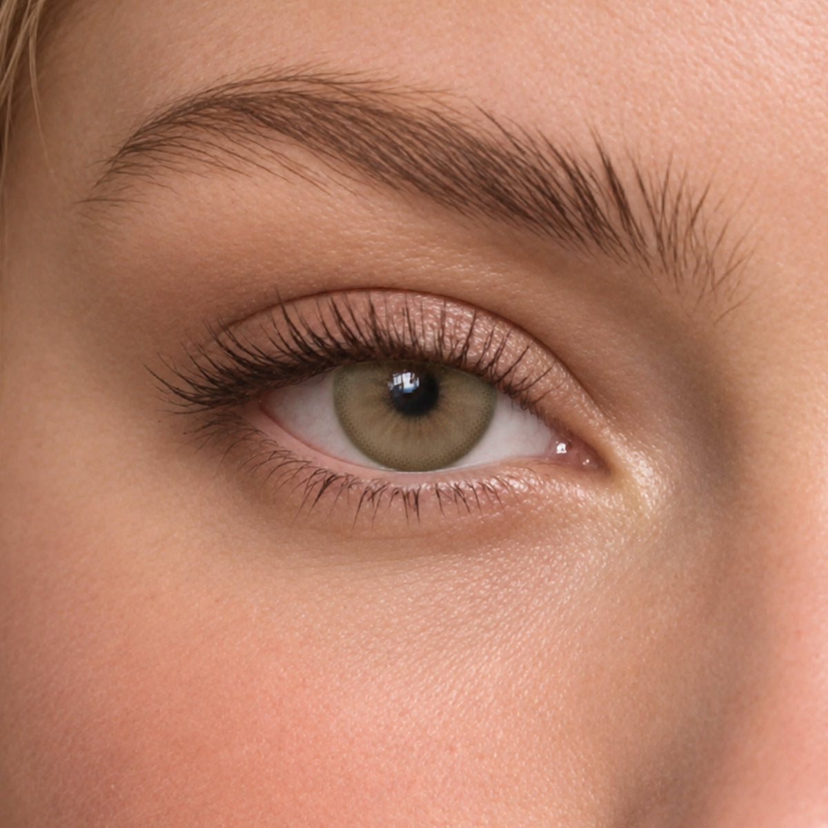 Santal Hazel | 6-Month Colored Contacts