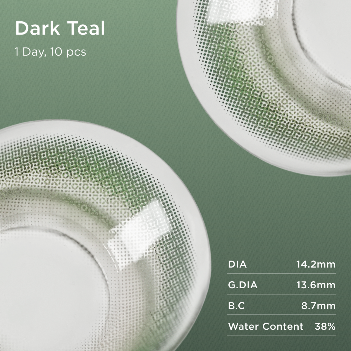 Dark Teal | Daily