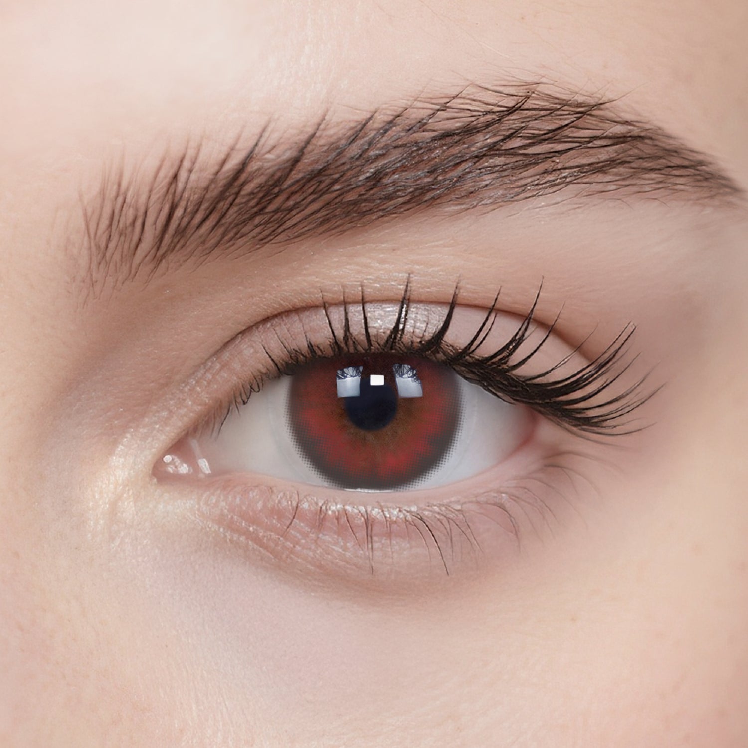 Raspberry Red | Daily, 20pcs colored contacts