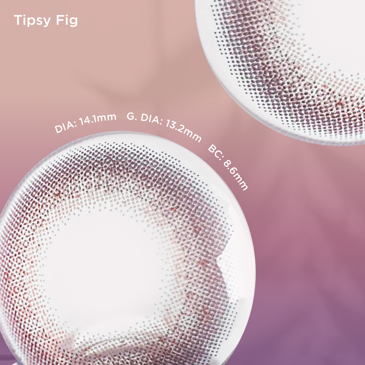 Tipsy Fig (Daily)