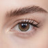 Guava | Daily, 20pcs colored contacts