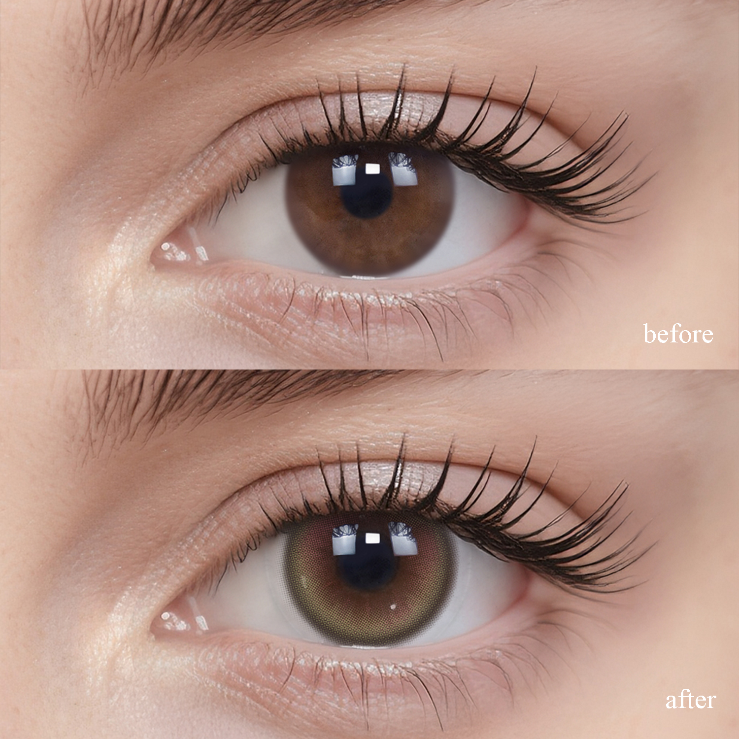 Guava | Daily, 6pcs colored contacts