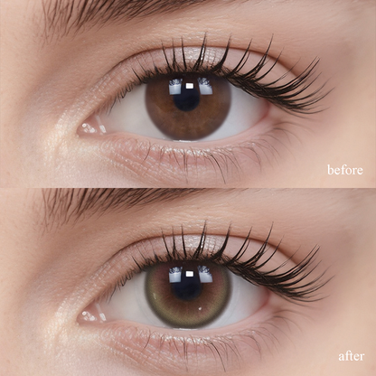 Guava | Daily, 6pcs colored contacts