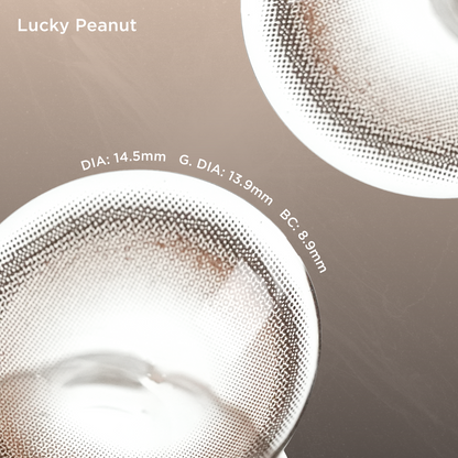Lucky Peanut | 6-Month colored contacts