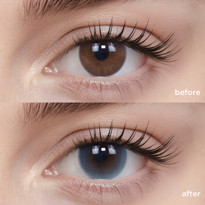 Tuxedo Blue blue color contacts