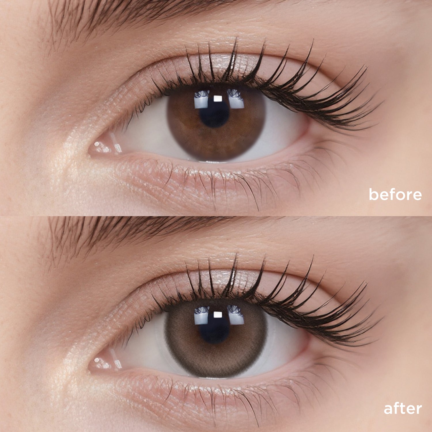 Breathe+ Walnut Brown silicone hydrogel color contacts