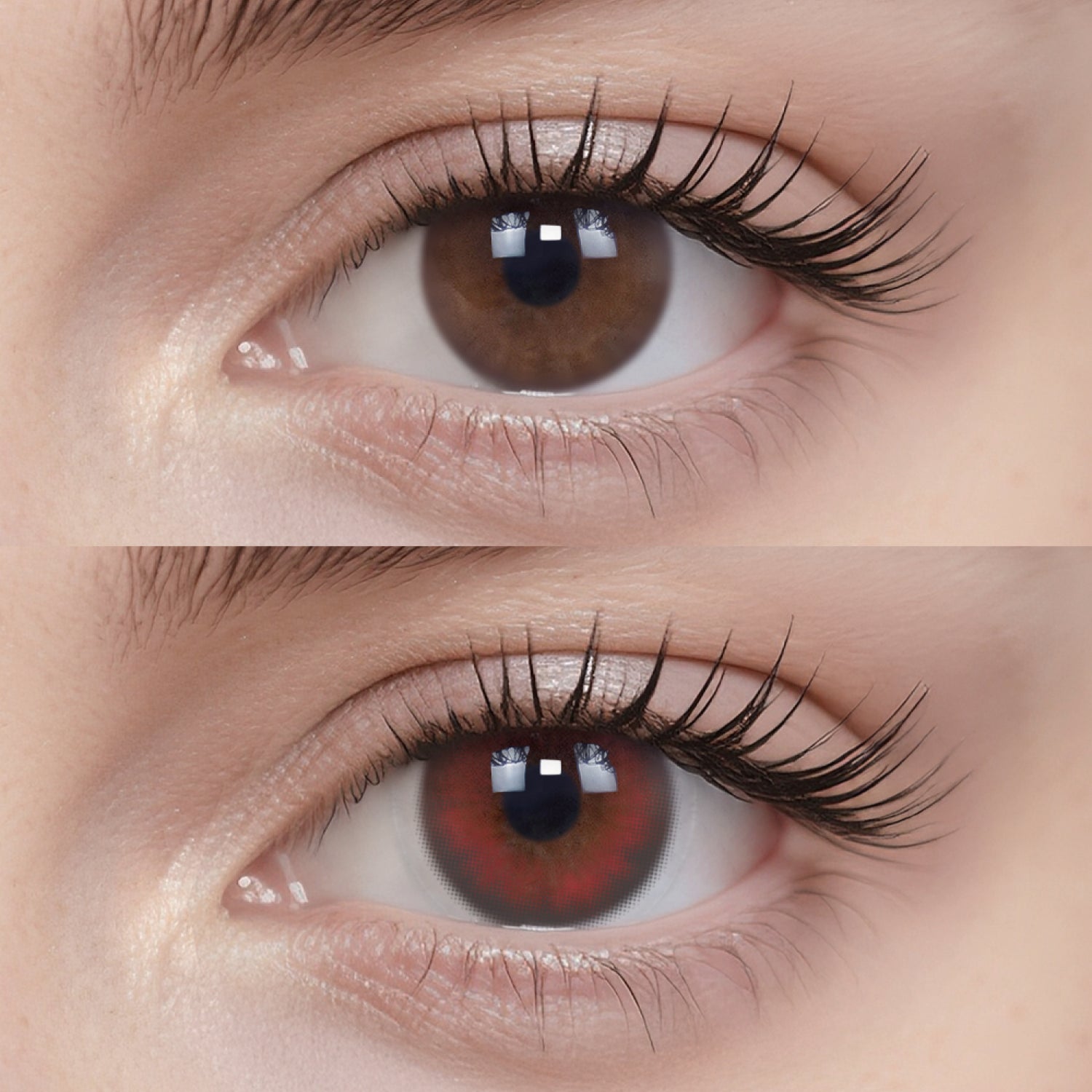 Raspberry Red | Daily, 20pcs colored contacts