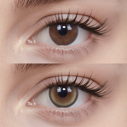 Moonlit Hazel | Daily, 6pcs colored contacts