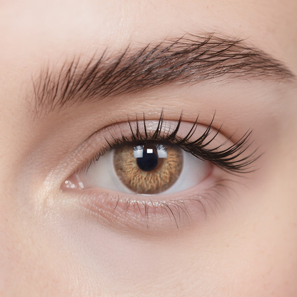 Sunflower Brown 6-Month Color Contacts