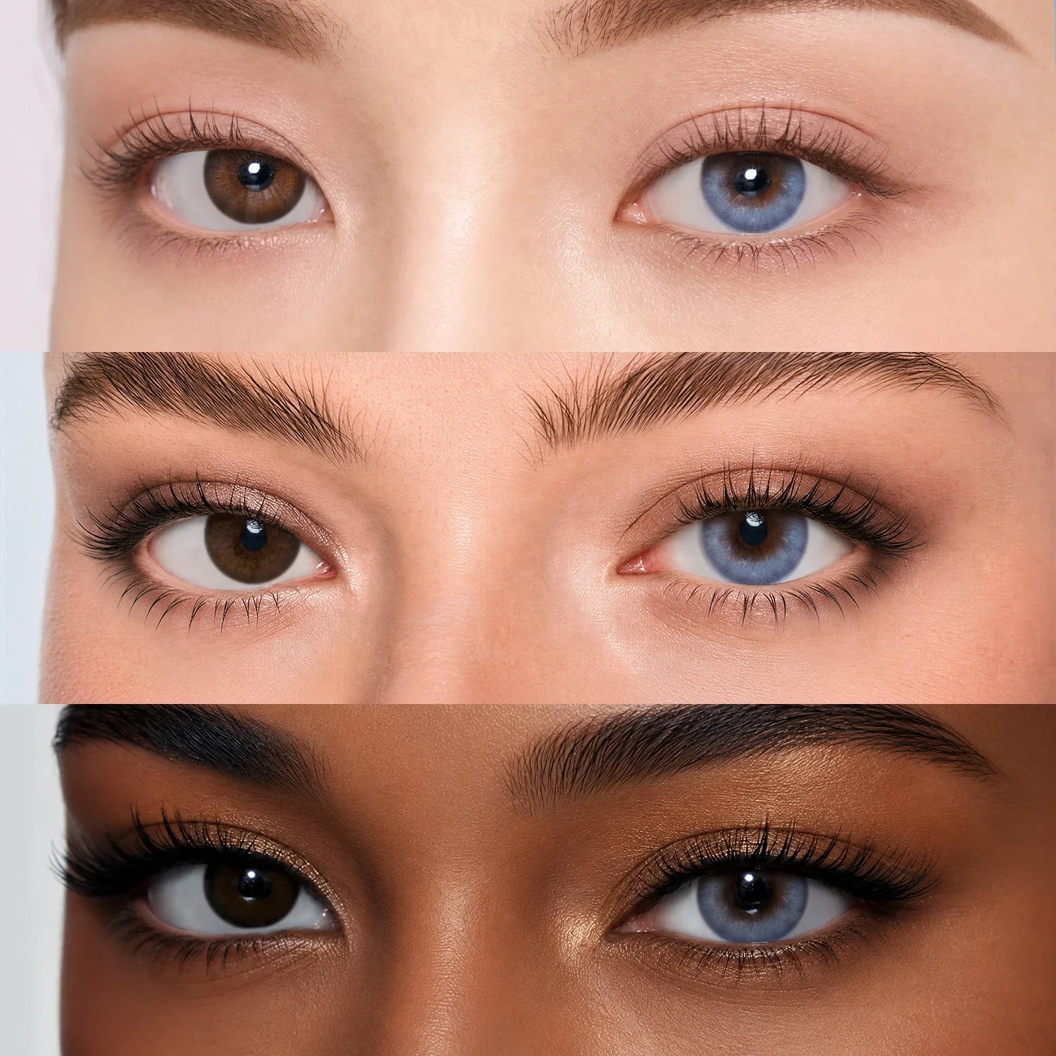 Accelerado | Daily colored contacts