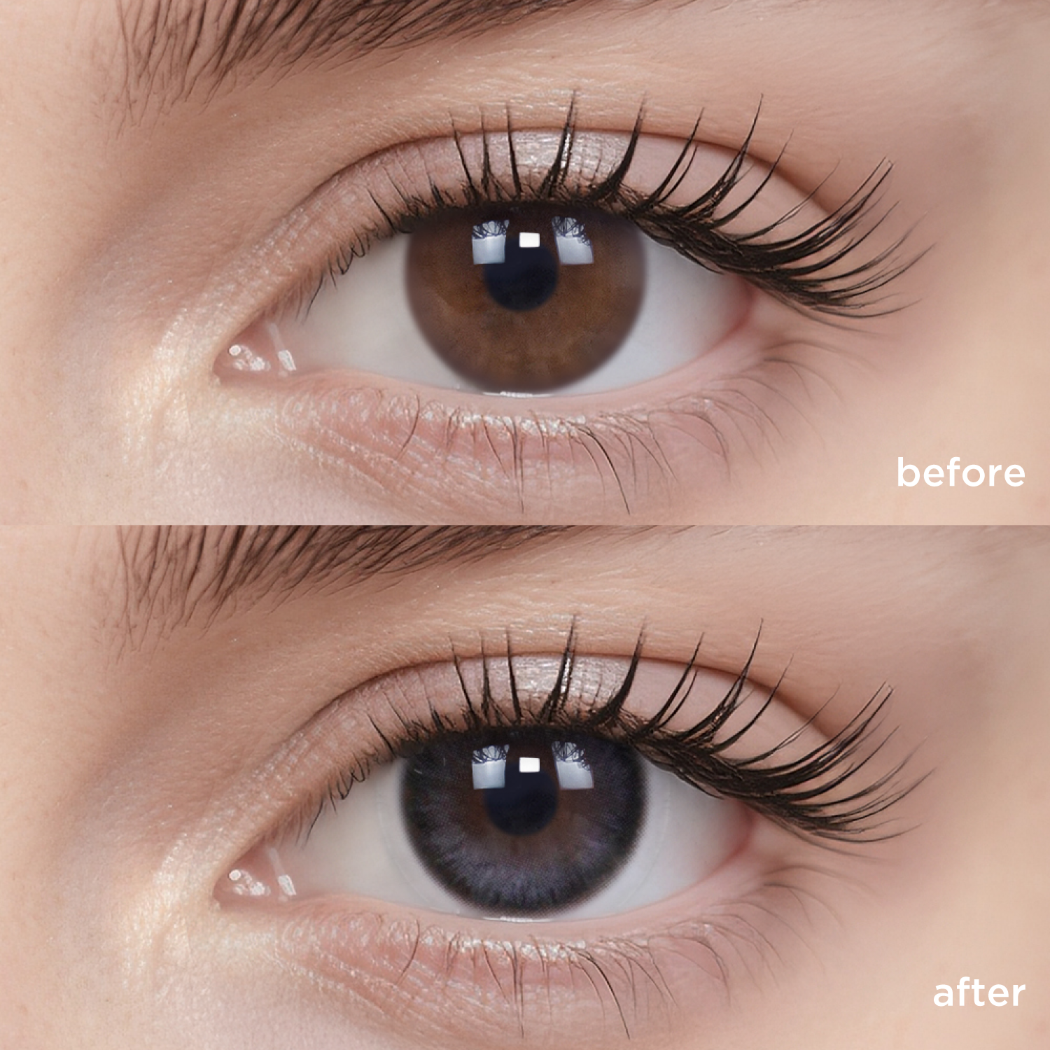 Ribbon Bow black color contacts