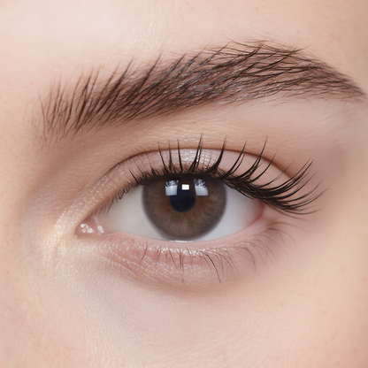 Coco Brown Daily Color Contacts