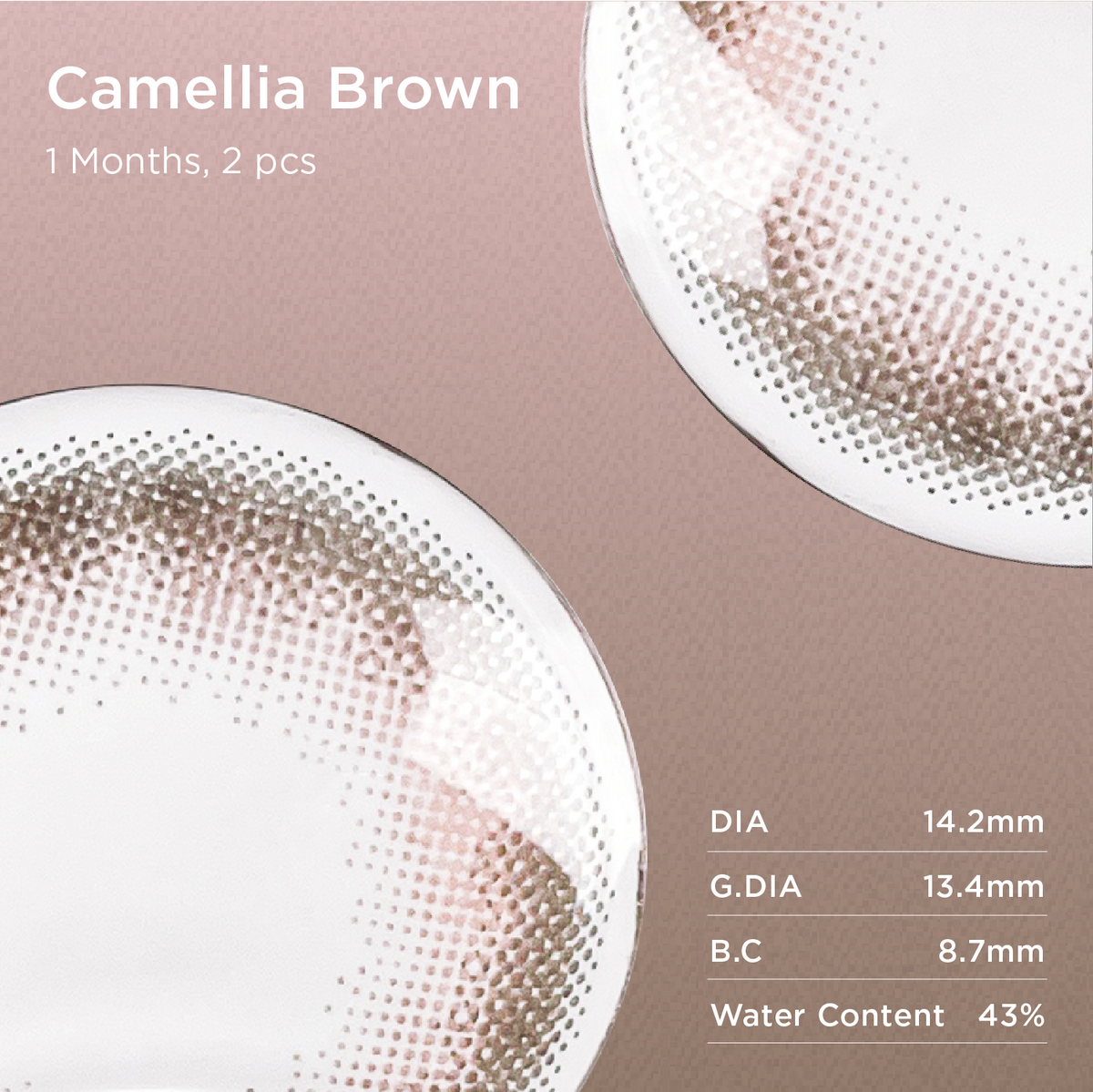 Camellia Brown | Daily colored contacts