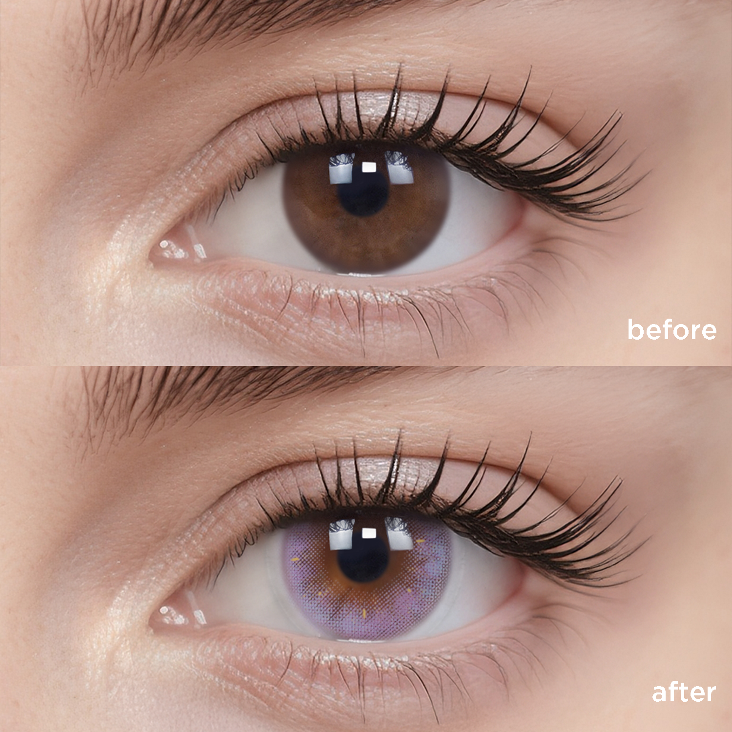 Carefree Summer | Daily colored contacts