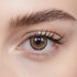 Fervor Daily Color Contacts