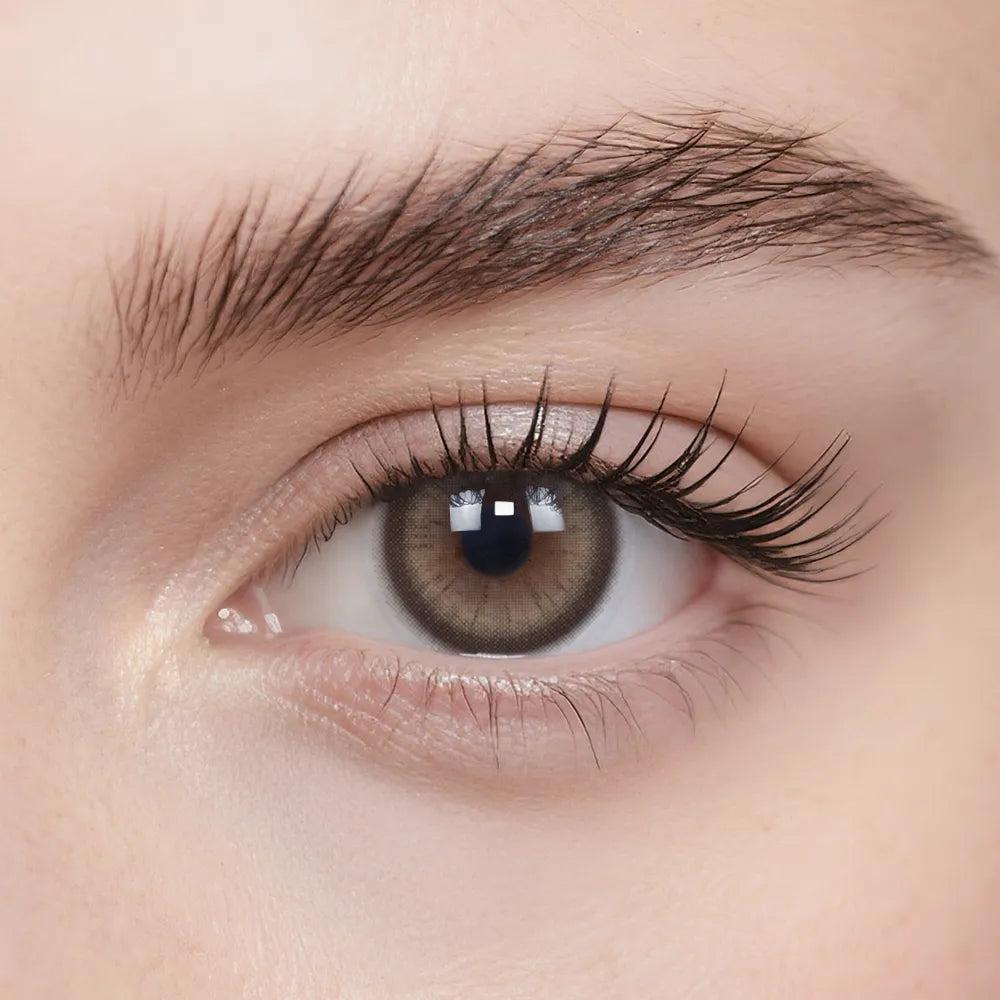 Midnight In Paris 6-Month Color Contacts