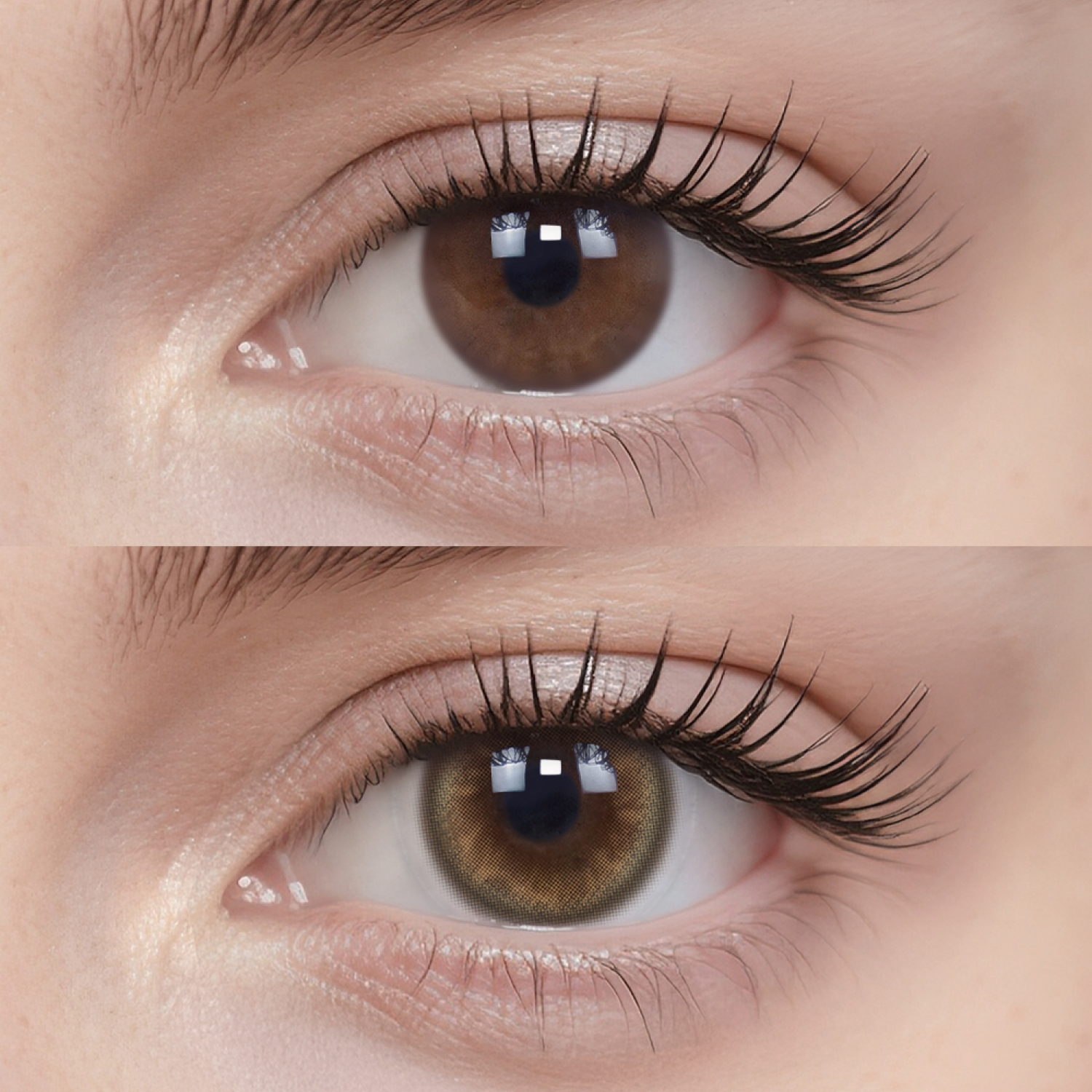 Popcorn | Daily, 20pcs colored contacts