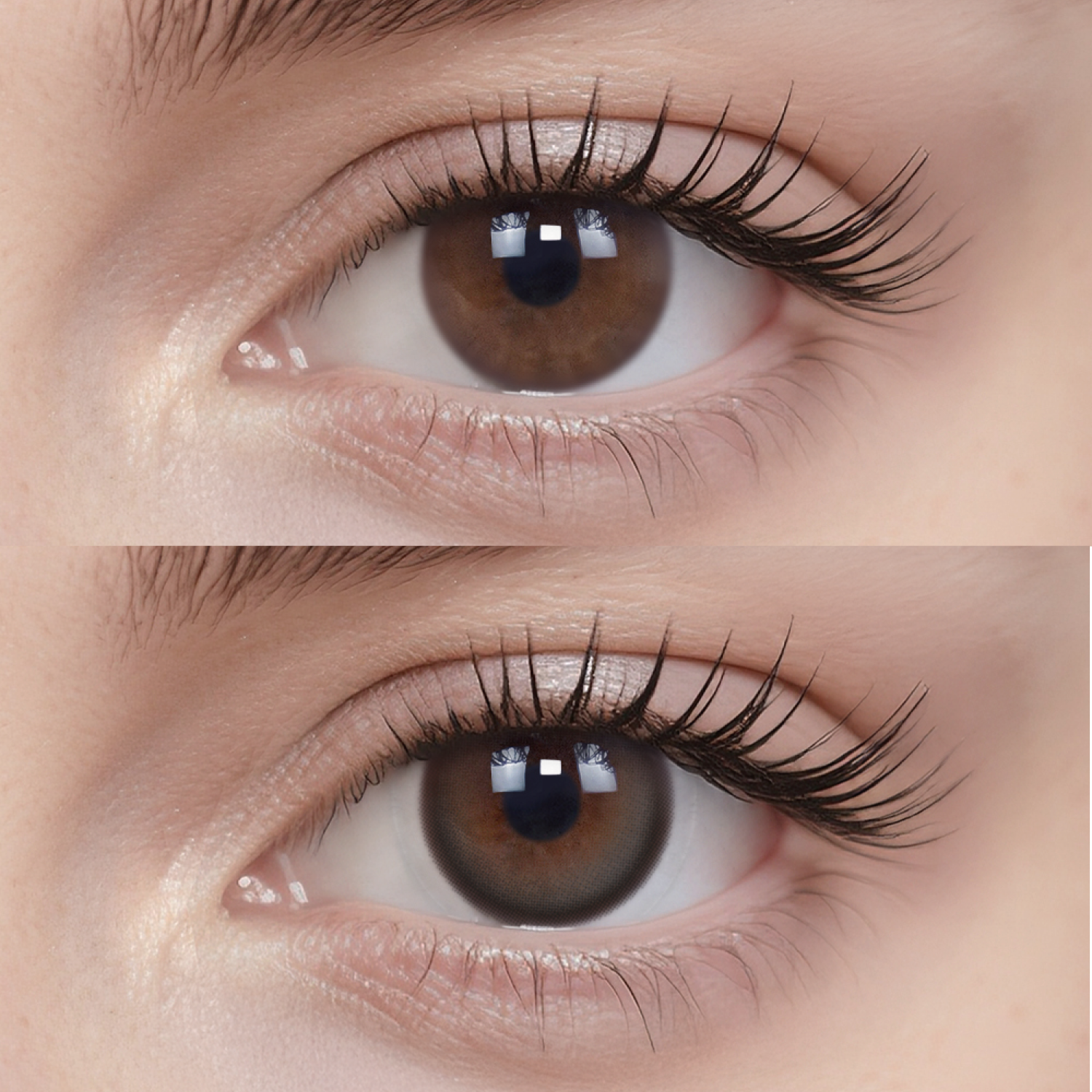 Espresso Pixels | Daily, 20pcs colored contacts