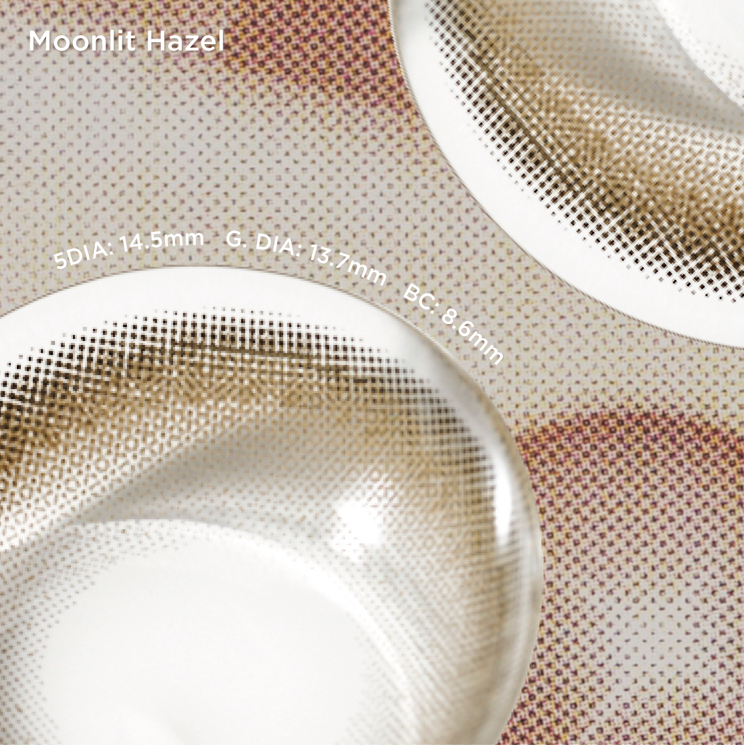 Moonlit Hazel | Daily, 6pcs colored contacts