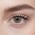 Moonlit Hazel | Daily, 6pcs colored contacts