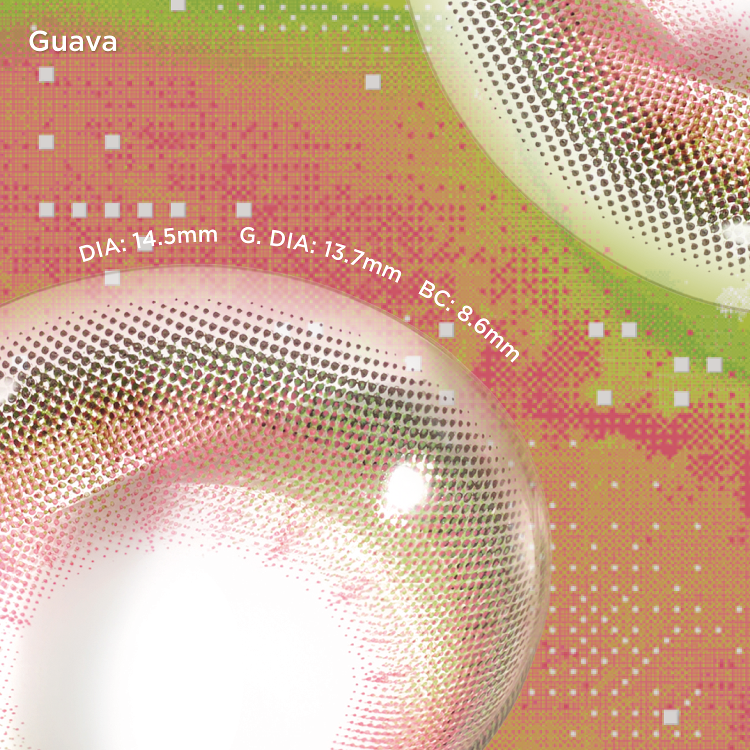 Guava | Daily, 6pcs colored contacts