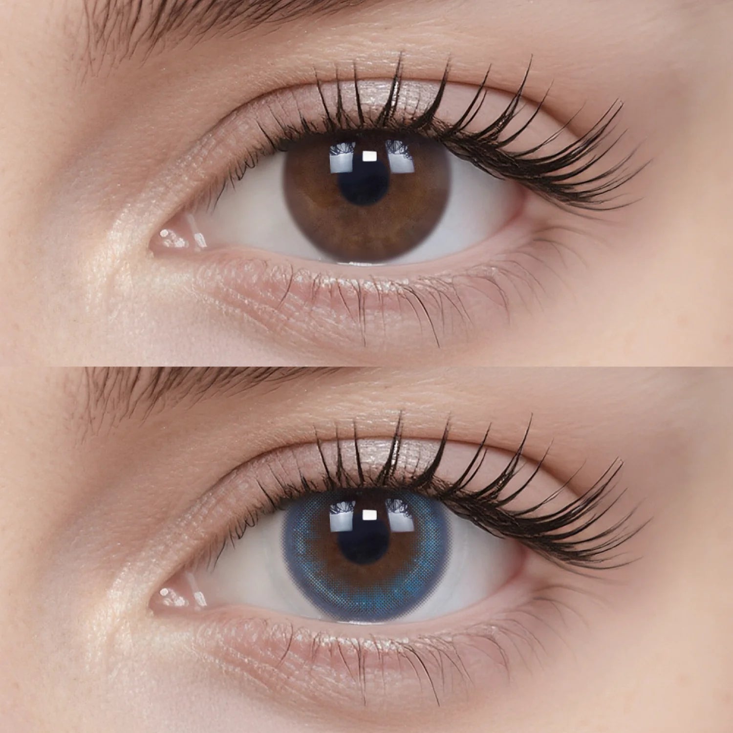 Soda Blue | 6-Month colored contacts