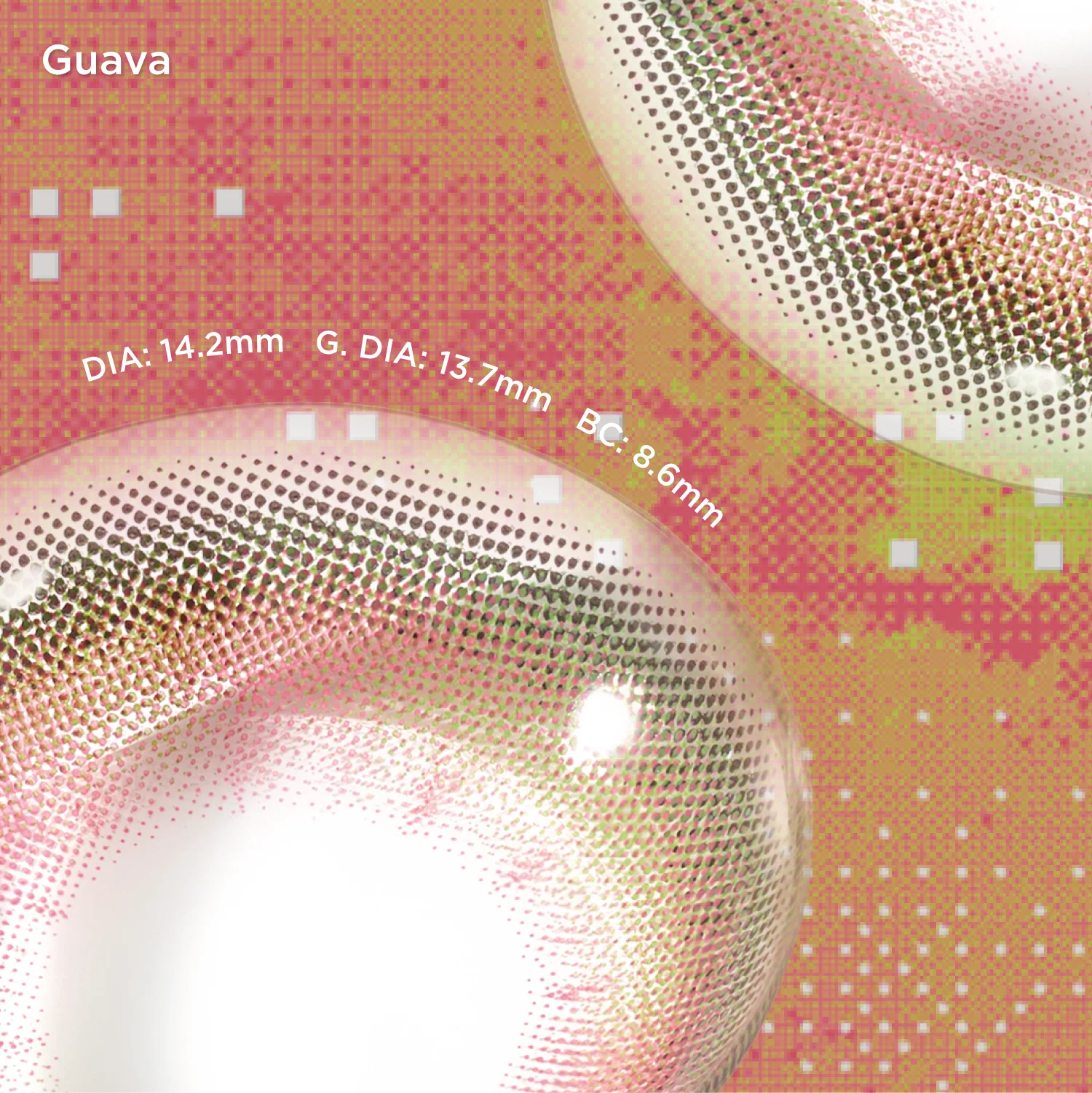 Guava | 6-Month colored contacts