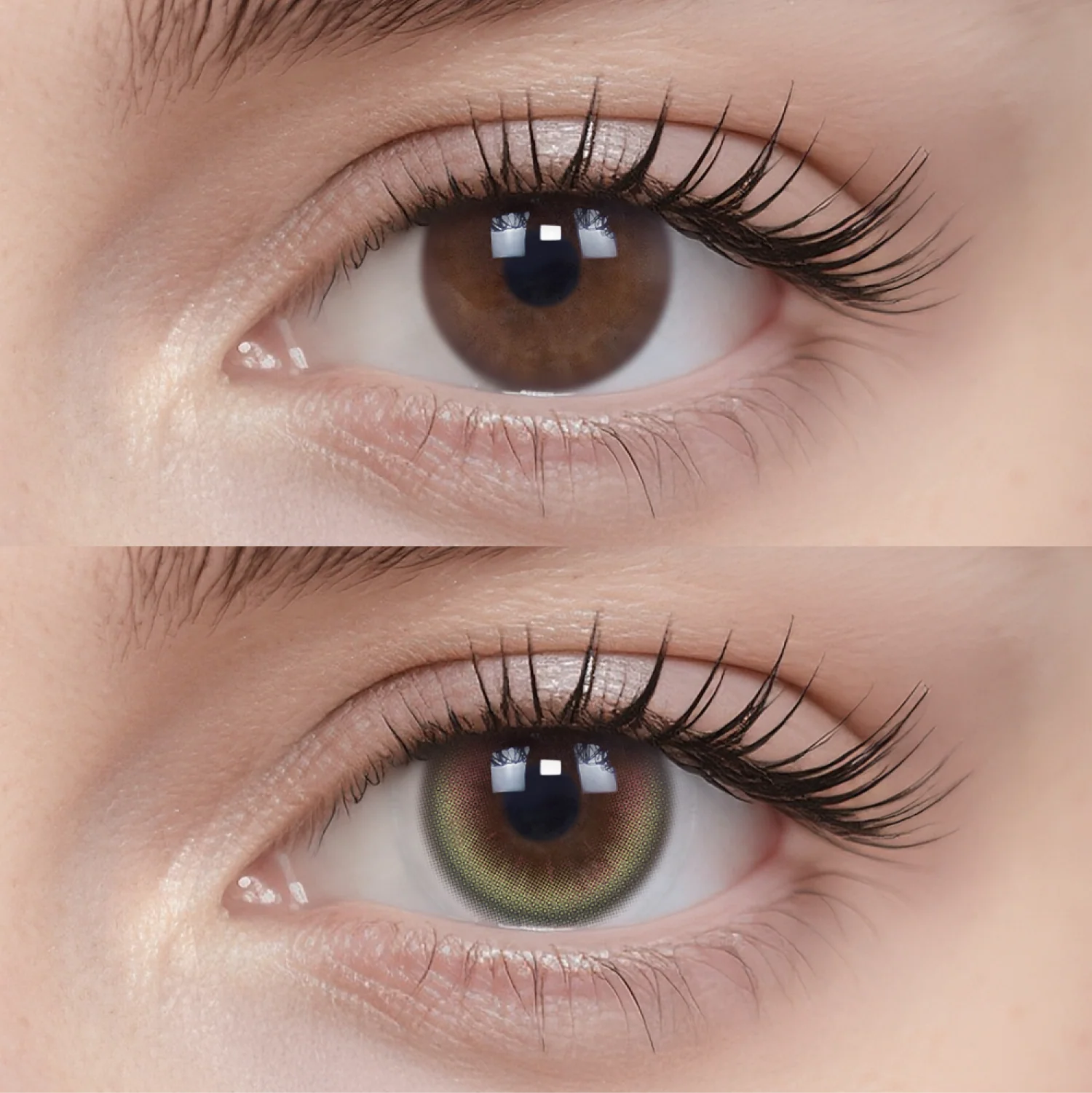 Guava | 6-Month colored contacts