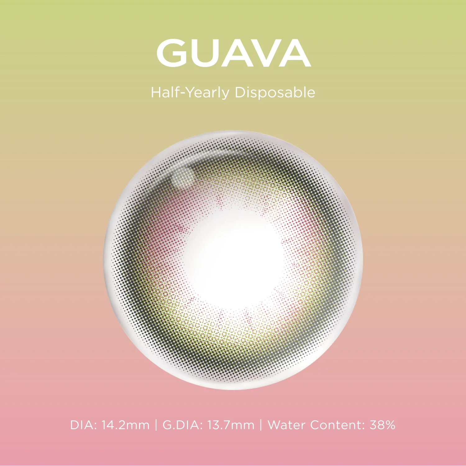 Guava | 6-Month colored contacts