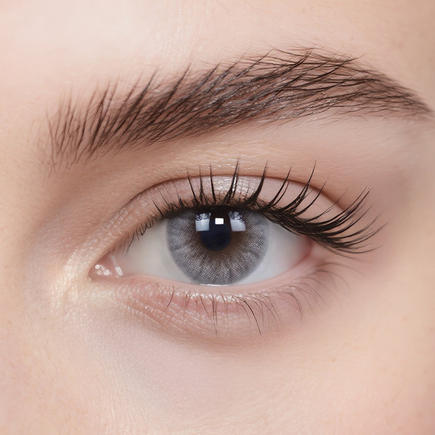 Polar Glacier 6-Month Color Contacts