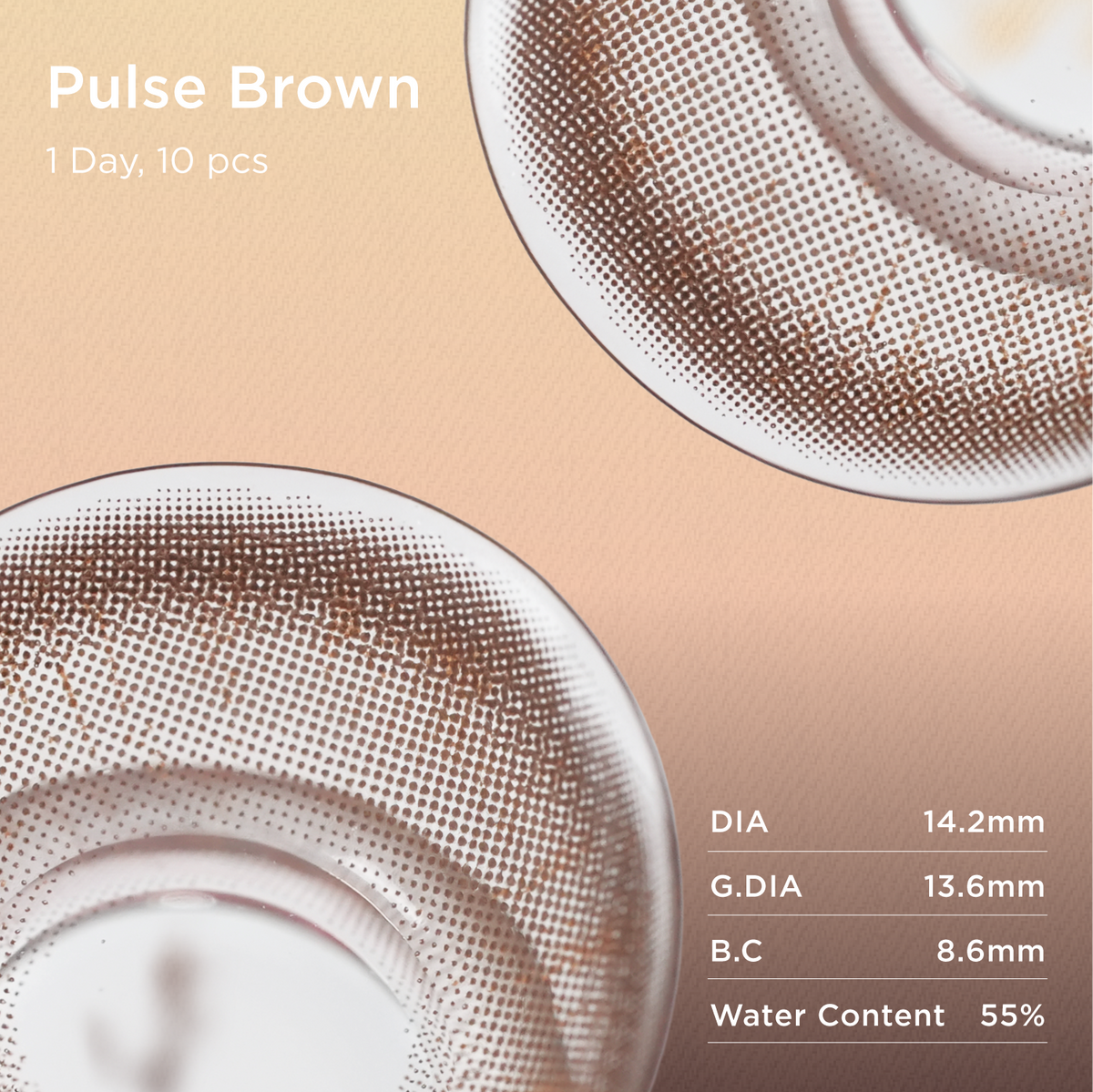 Pulse Brown Contact coloré quotidien