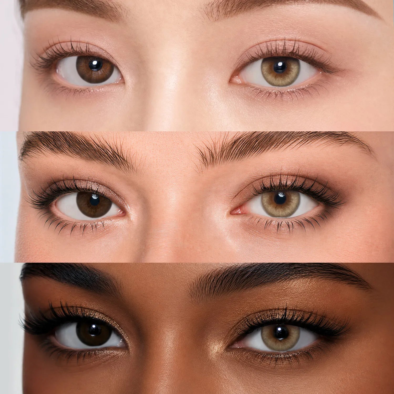 Sandstorm | Daily colored contacts