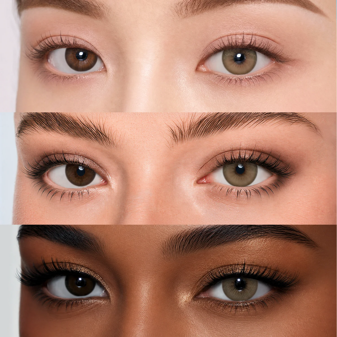 Santal Hazel | 6-Month Colored Contacts