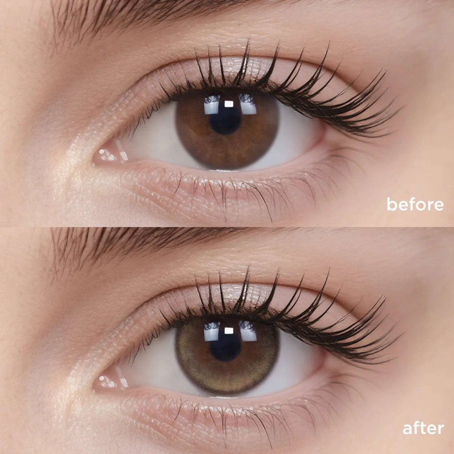 Soft Brown brown color contacts