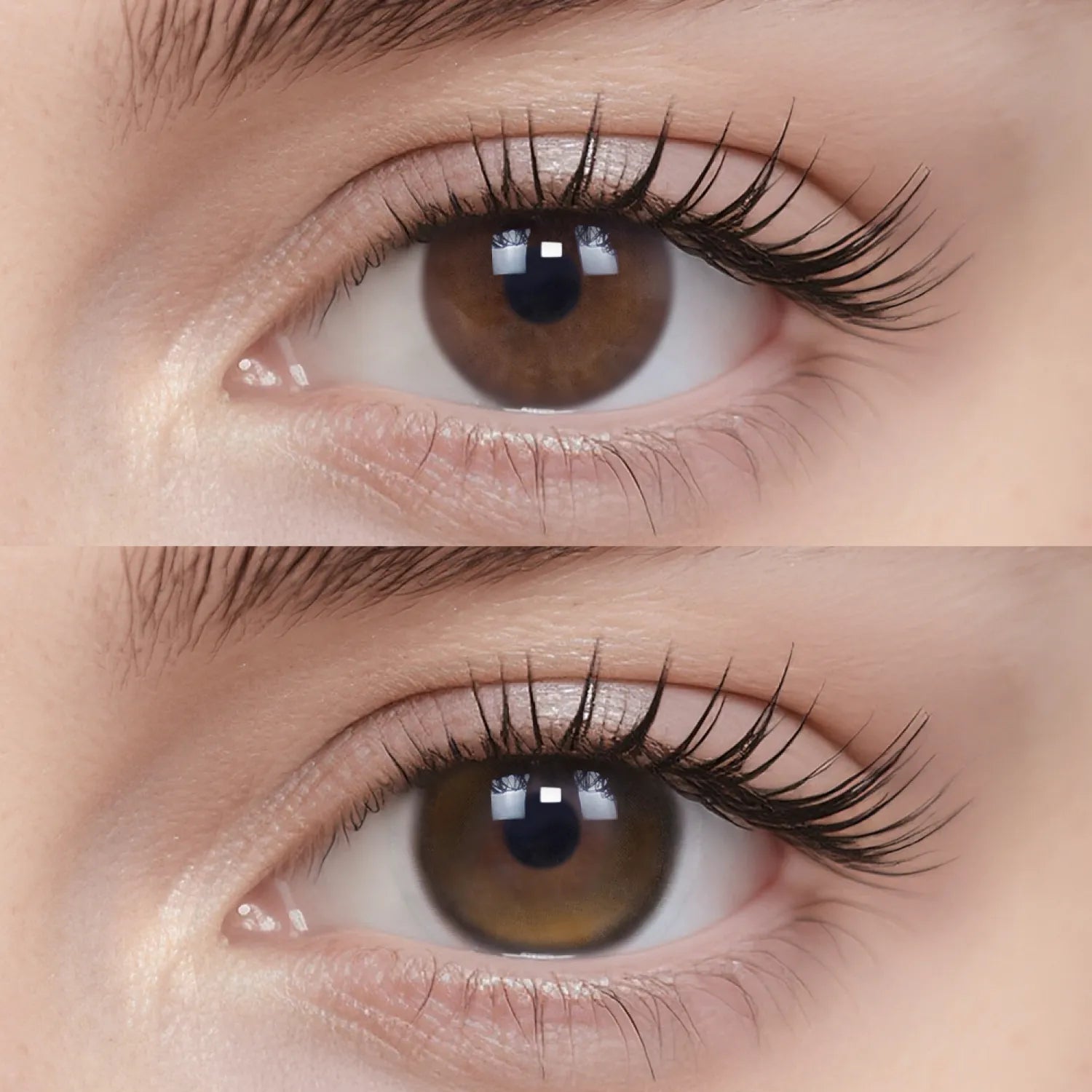 Breathe+ Spotlight | Daily colored contacts