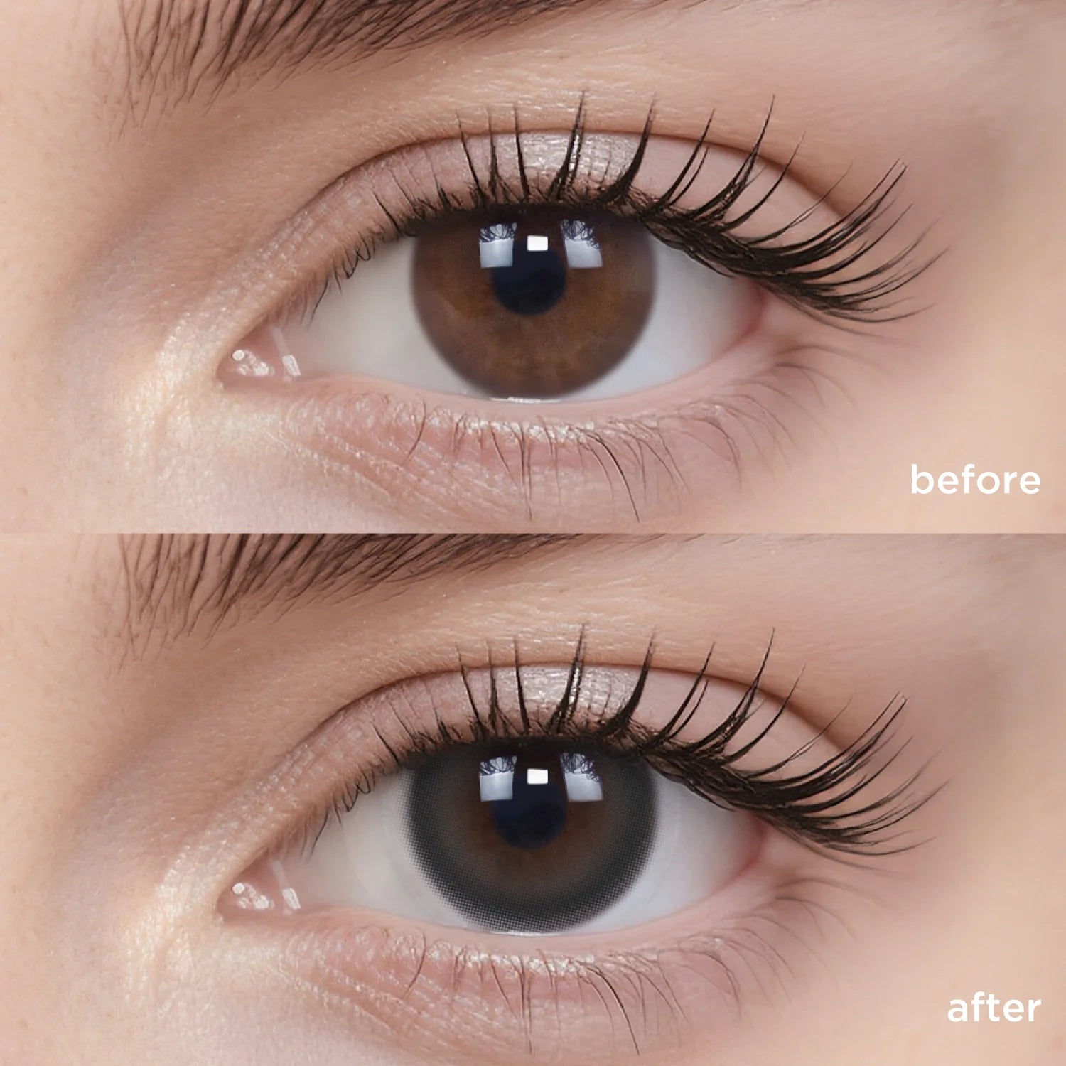 Black Brulee monthly colored contacts comparison