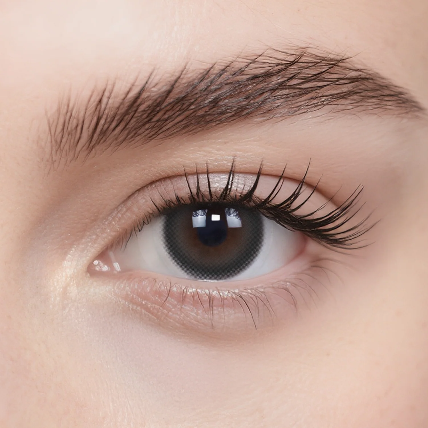 Black Brulee monthly colored contacts on eye
