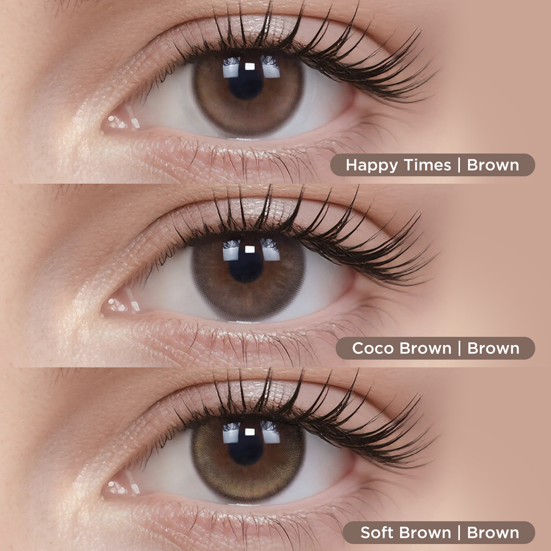 Brown Daily 3*10pcs Bundle - bundle image 2
