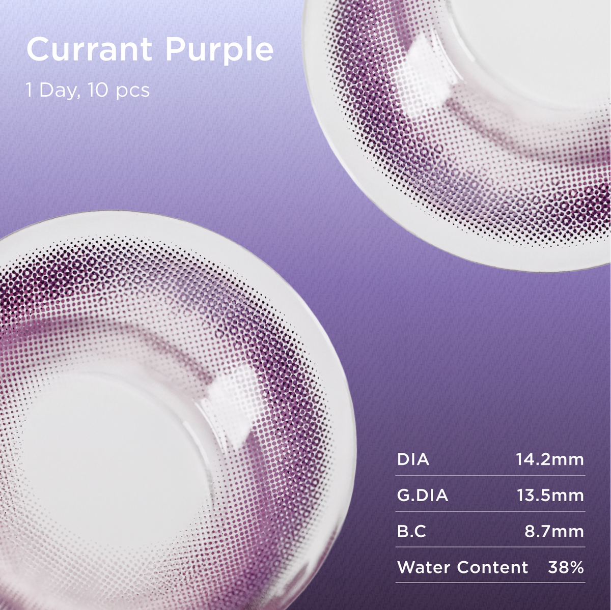 Currant Purple | Daily