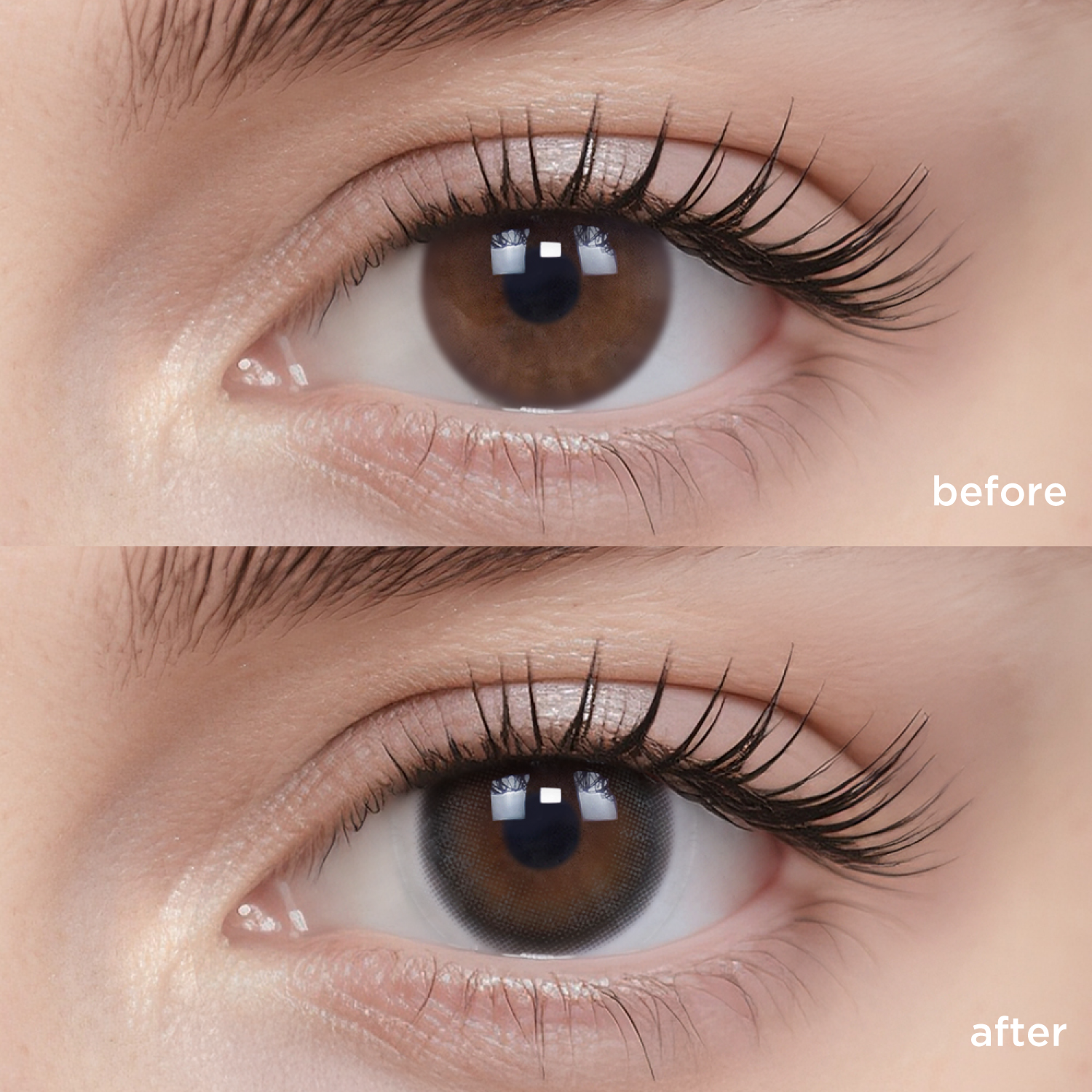 Polar Day black color contacts