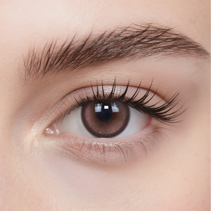 Encounter daily colored contacts on eye