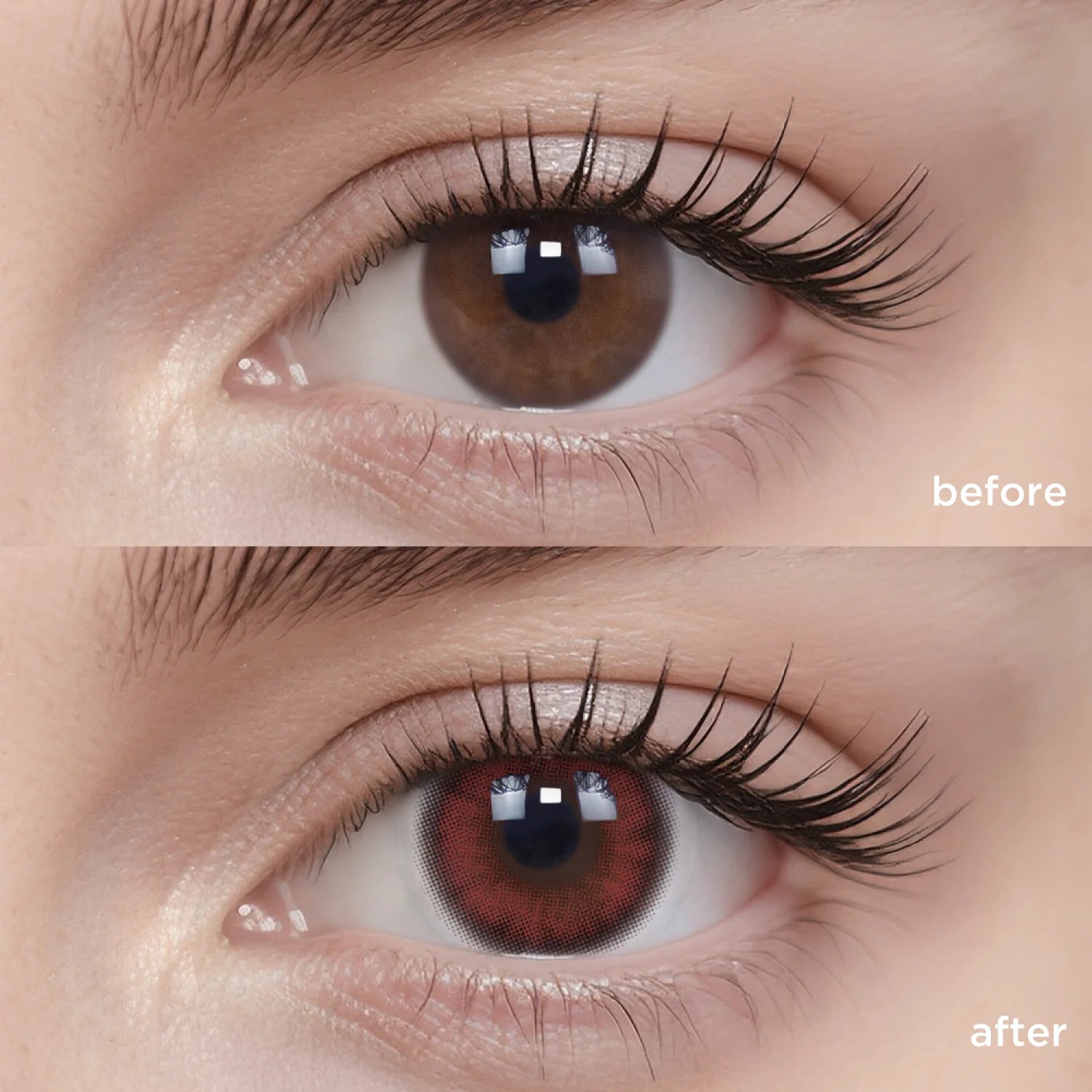 Raspberry Grid | Daily, 20pcs colored contacts