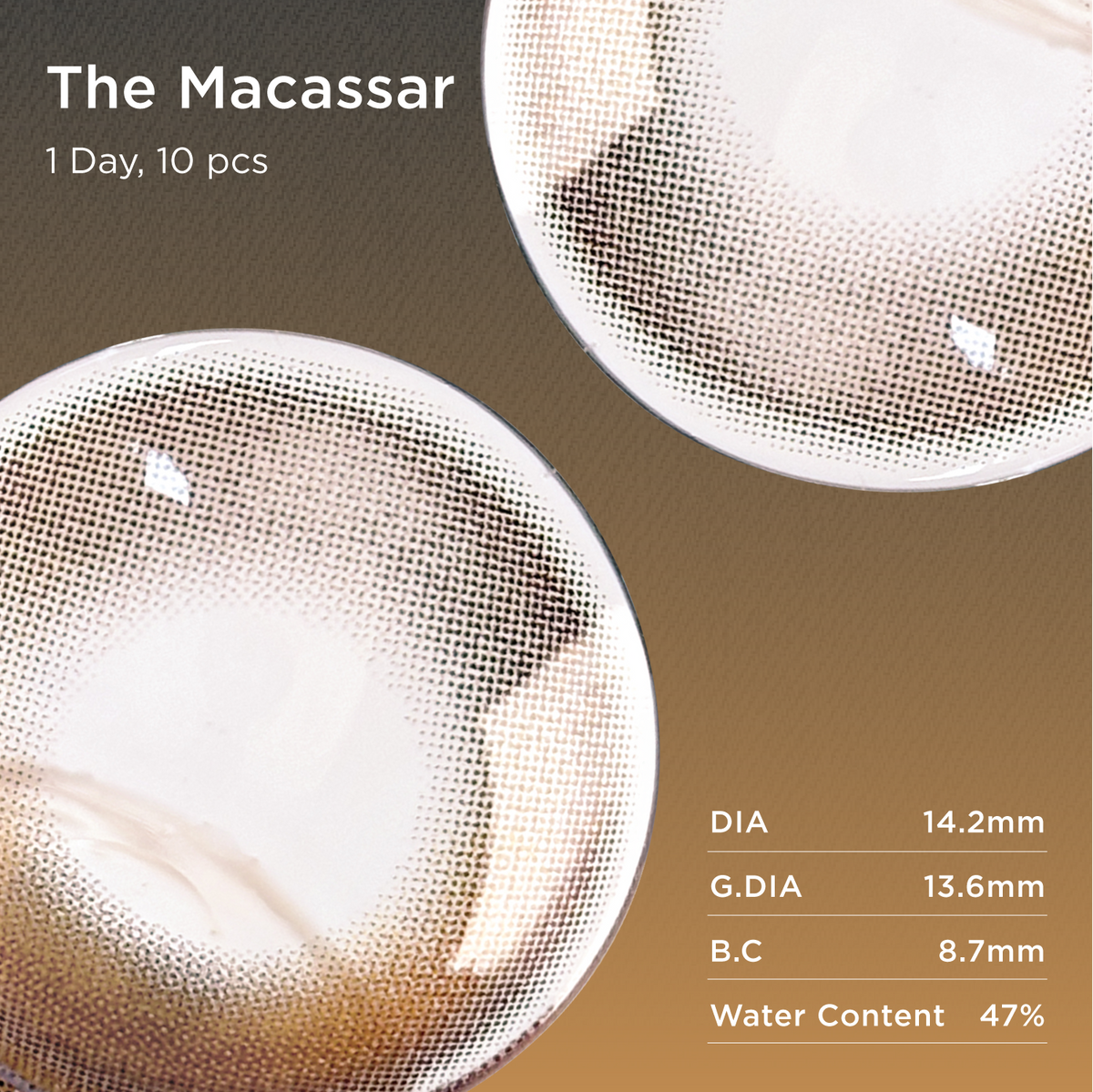 GlowyLock The Macassar | Daily colored contacts
