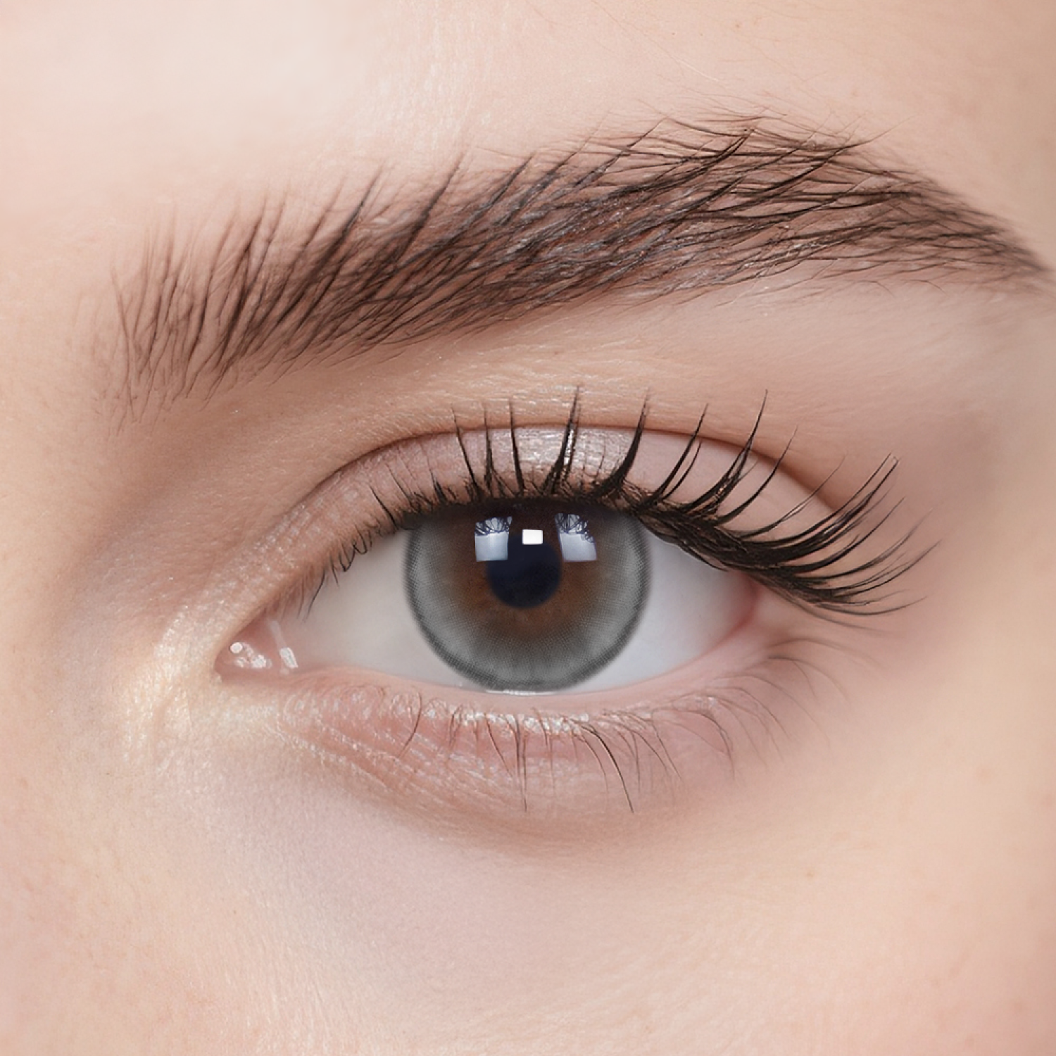 The Moon Daily Color Contacts
